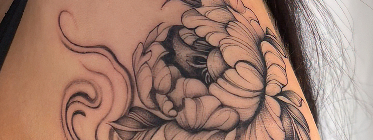 Ana Detail Feature Image_